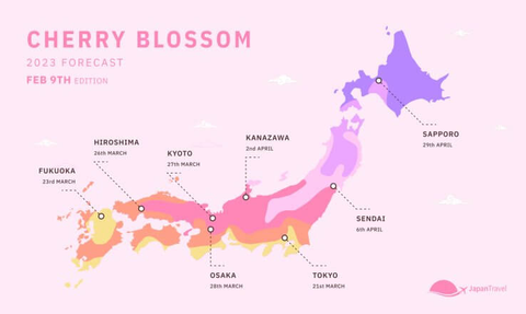 Cherry Blossom Forecast