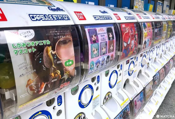 What to Expect inside a Gachapon Machine?