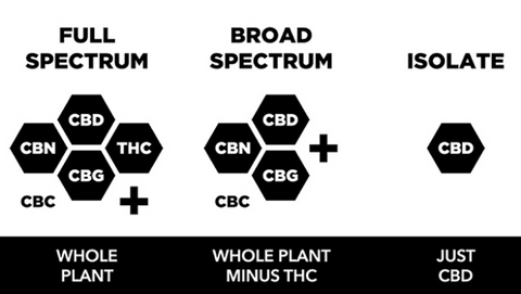 Types of CBD Forms of CBD Full Spectrum Isolate Broad Spectrum