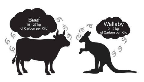 Wallaby vs Cattle Methane Emissions