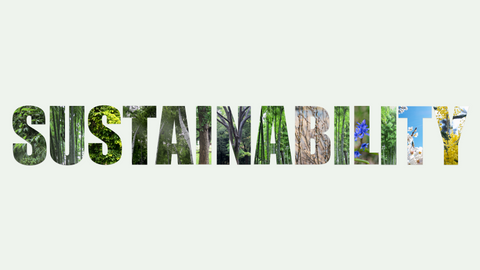 Typography of the word 'sustainability' artistically integrated with green plants, emphasizing eco-friendly and environmental themes.