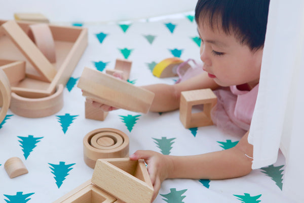 Young Child Playing With Educational Wooden Toy