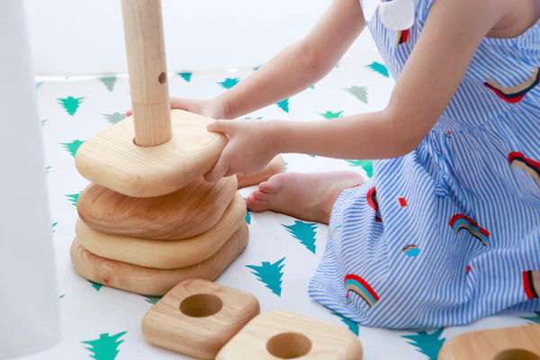 Educational Wooden Toy Stackable