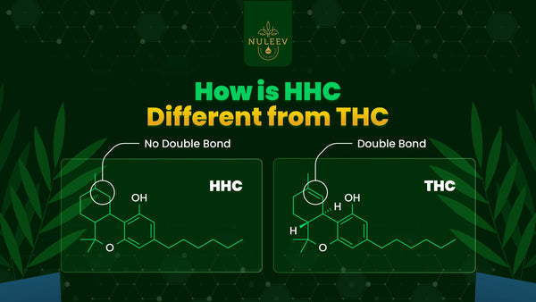 how is hhc different than thc?