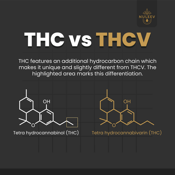 thc vs thcv