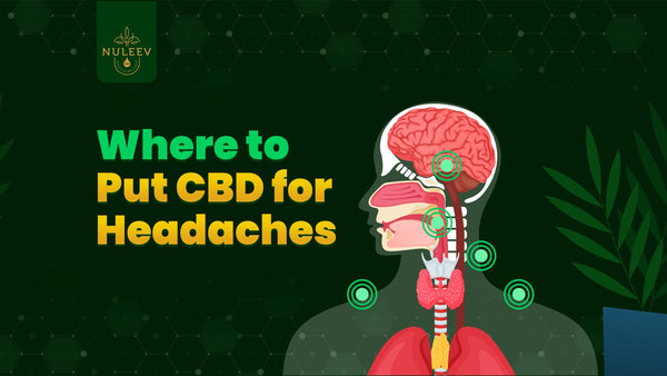 where to put cbd for headaches