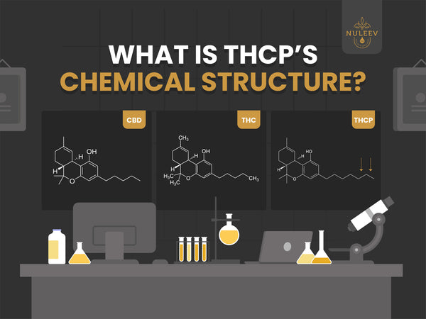 THCP vs THC