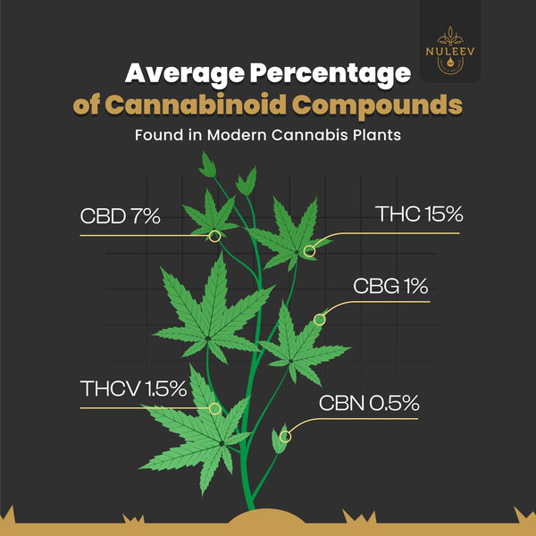 cannabinoid content of hemp plants