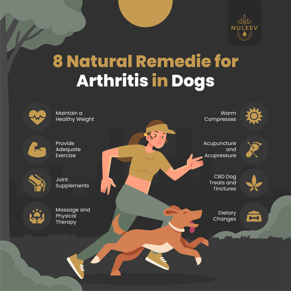 eight natural remedies for arthritis in dogs