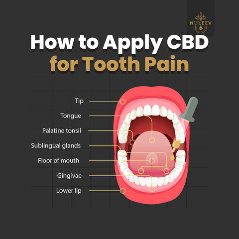 where to apply cbd oil for tooth pain