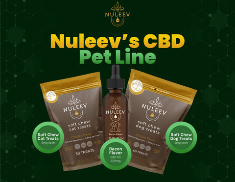 CBD for pets