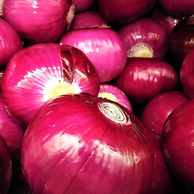 Onion