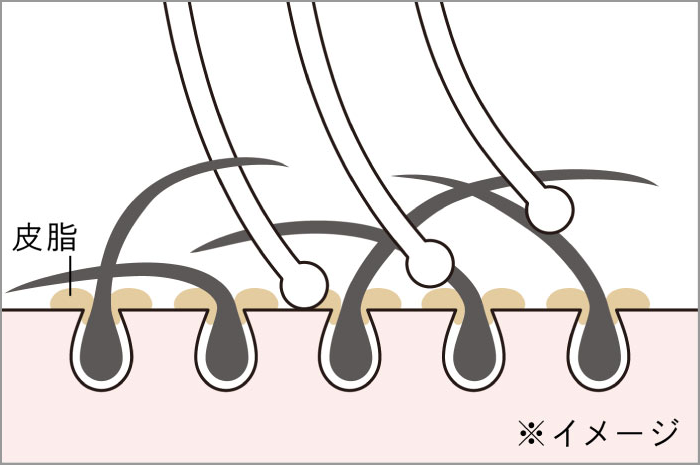 ReFa ION CARE BRUSH PREMIUM（リファイオンケアブラシプレミアム）：濃密タッチ毛がしなり、髪1本1本をとらえて根元から持ち上げる。