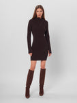 Sweater Short Collared Cowl Neck Ribbed Fitted Dress