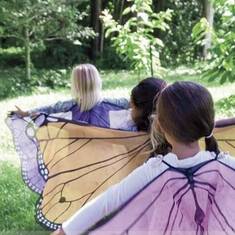 Déguisement papillon - Bleu/rose - Fille - Déguisement Enfant