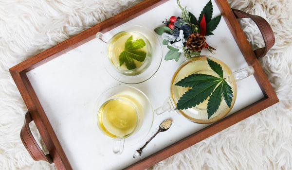 Cannabis leaves on a tea cup