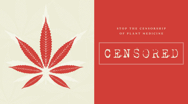 The censorship of plant medicine
