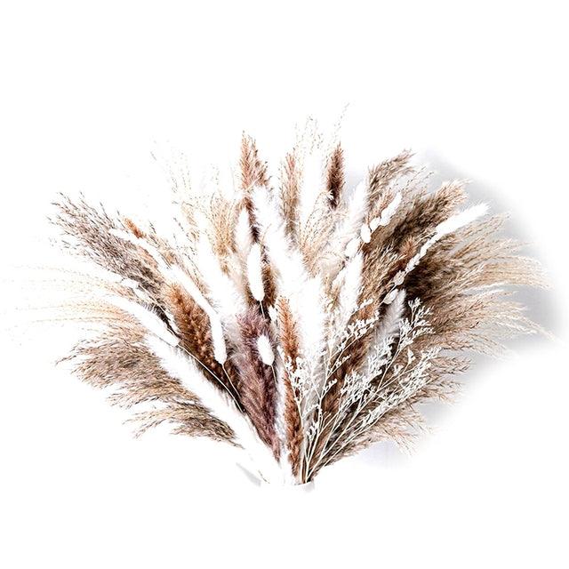 Natural Dried Pampas Grass Bunch 80 Pieces – Joy Home Déco