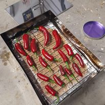 Romano and jalapeno chililes on a smoker