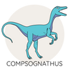 compsognathus