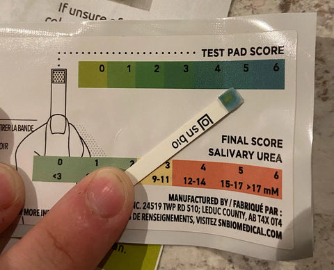 Lucy's test result