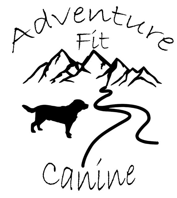 adventurefitcanine.com