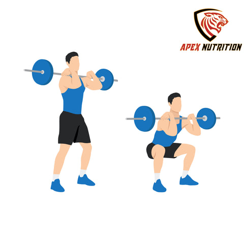 Front squat at ApexNutrition: dumbbell on chest, knees bent. Person falls down. Get fit at ApexNutrition