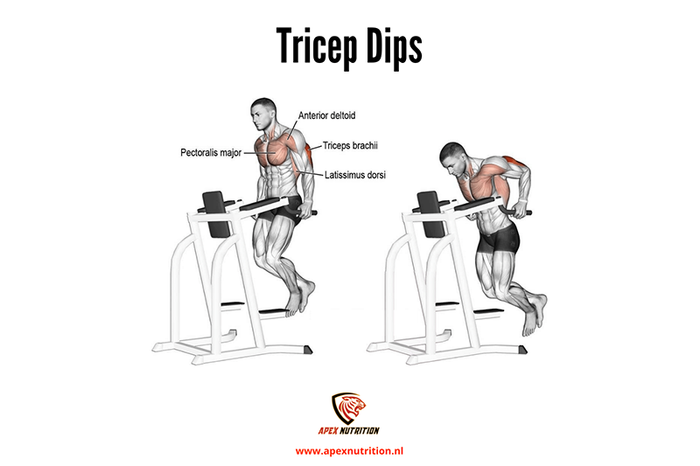 Triceps oefeningen dips