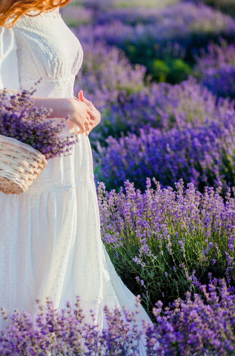 woman in lavender fields in provence france