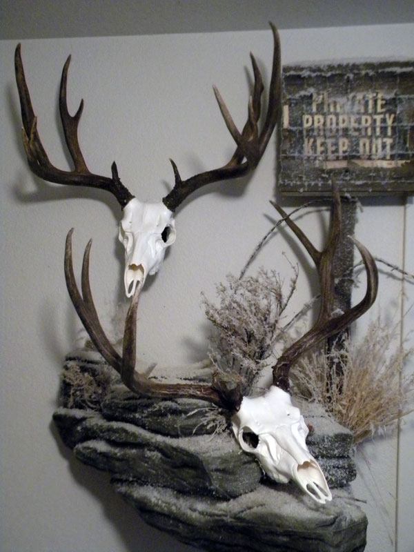 European Deer Mount Ideas Mountain Mike S Reproductions   EricJensenMuleDeer 600x 