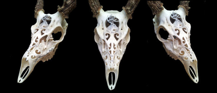 carving deer skulls - seth carved skulls