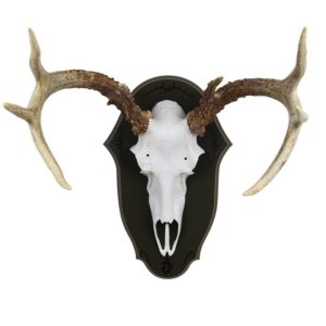 antler mounting plaque - black forest style