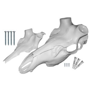 elk skull replica kit - skull master kit by mountain mikes