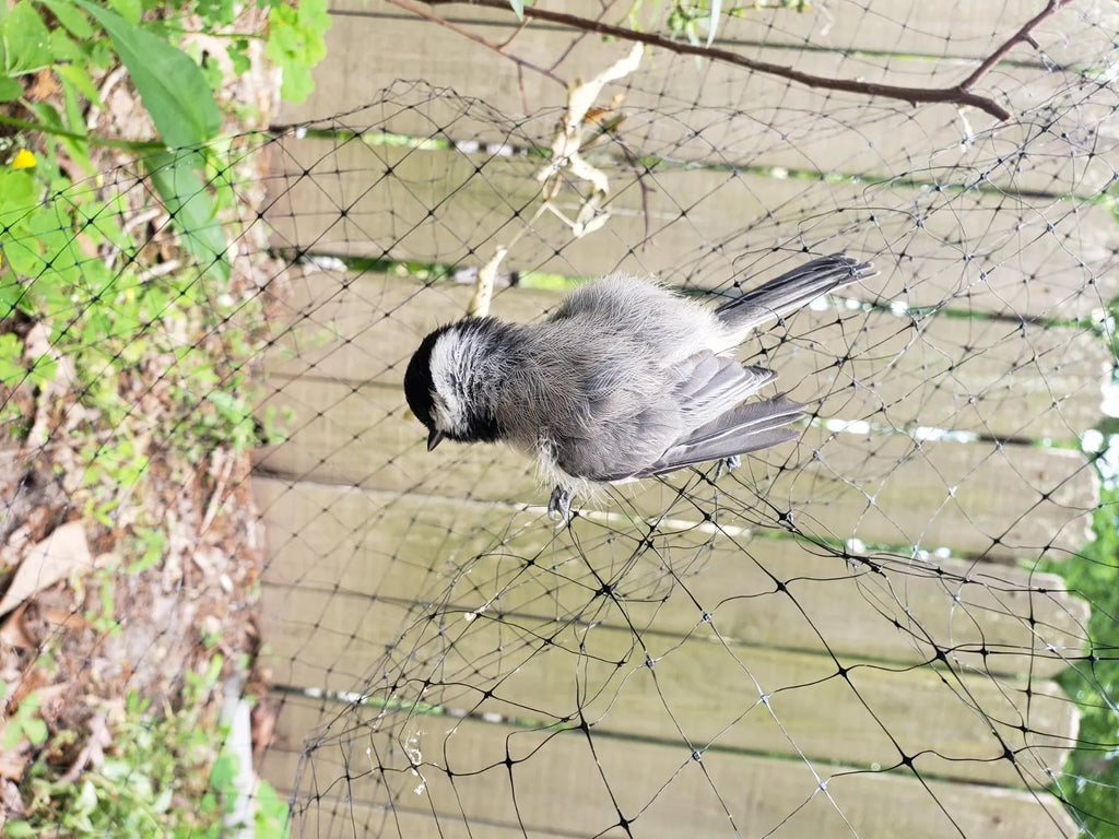 Netting - Keep Birds Off Patio Furniture
