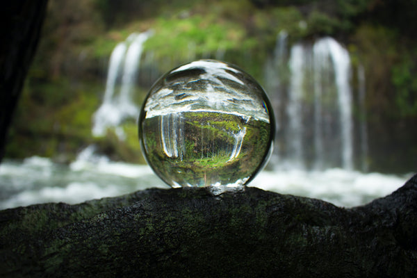 Forest view through a water droplet