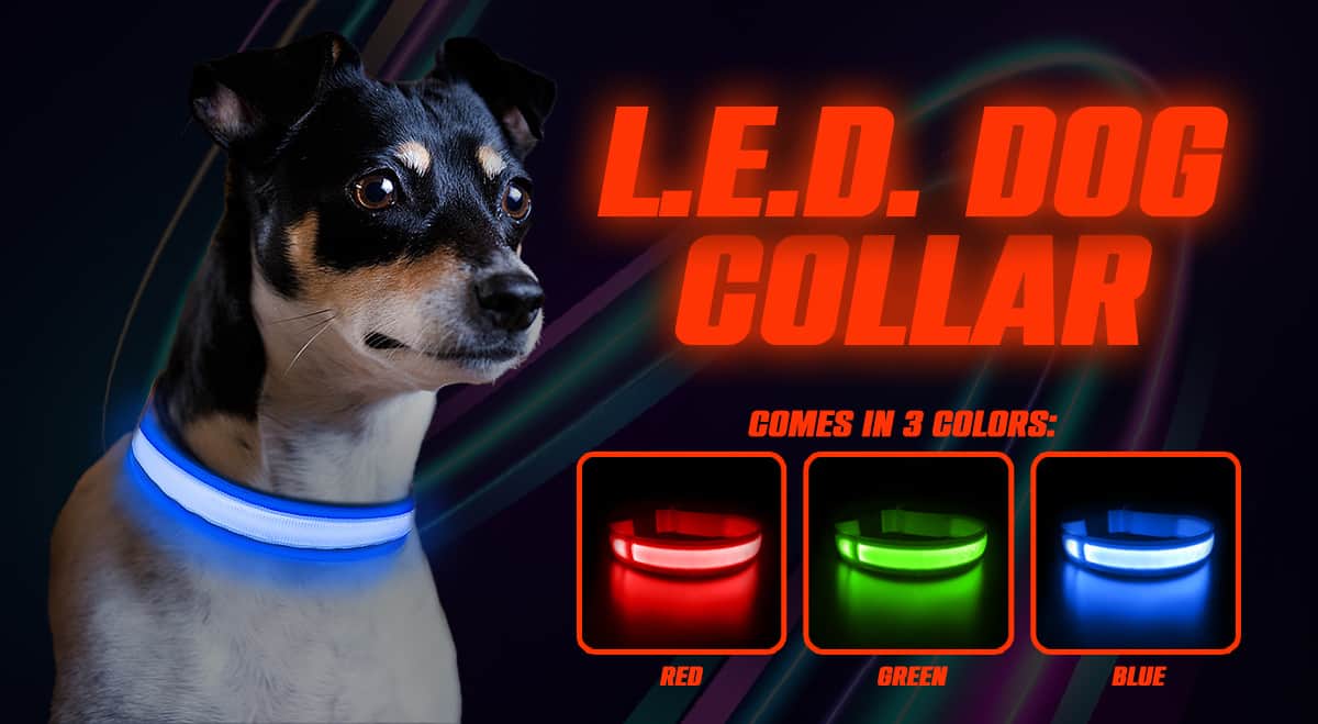 glow in the dark collar, dog collar, LED Collar, light up dog collar, gifts for dog lovers, best collar for dogs, emergency dog collar