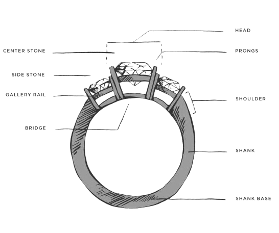 Ring Scrutiny