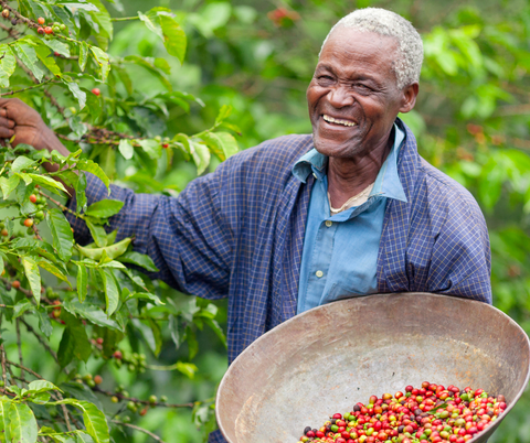 ethiopian coffee farmers