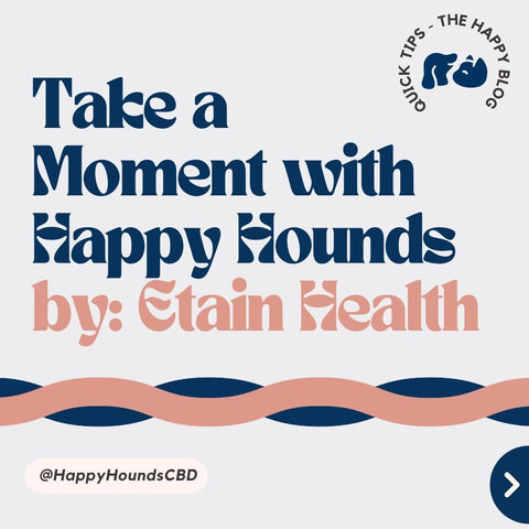 Happy-Hounds-CBD-Take-a-Moment-with-Etain, CBD-for-dogs-with-anxiety
