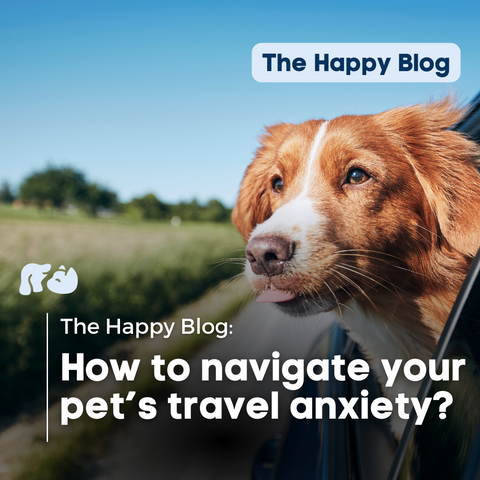 happy-hounds-header-how-to-navigate-pet-travel-anxiety-in-dogs