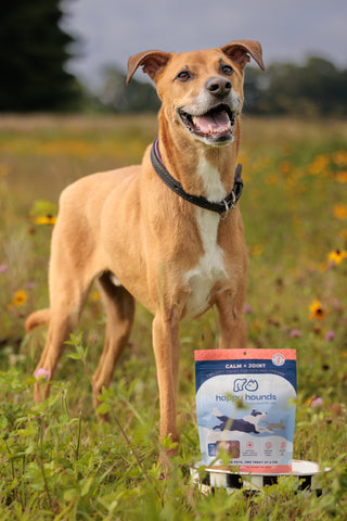 happy-hounds-cbd-treats-for-dogs-anxiety-alternatives