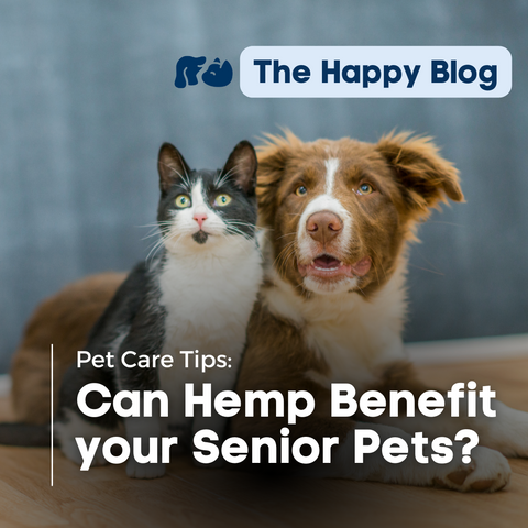Senior-Pets-Can-Hemp-Help-aging-senior-cats-and-dogs-happy-hounds-mobility-for-senior-dogs