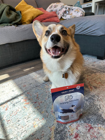 happy-hounds-cbd-corgi-dog-hip-joint-care-treats-for-dogs-senior-anxiety-pet-relief