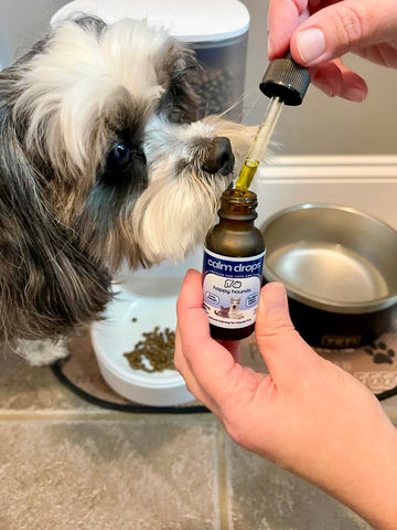 happy-hounds-cbd-holistic-approach-to-pet-wellness-using-cbd-alternatives-to-dog-anxiety-meds