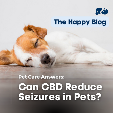 Happy-Hounds-the-science-behind-hemp-for-seizures-and-epilepsy-in-pets-dog-laying-on-bed-blog-post