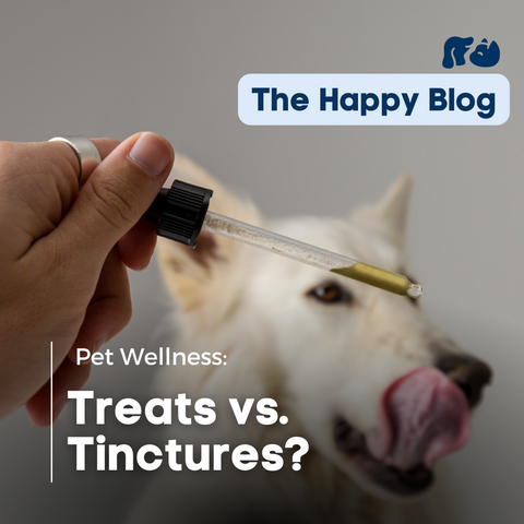 Happy-Hounds-The-Happy-Blog-Treats-vs-Tinctures-the-right-CBD-for-your-pets-learn-the-difference