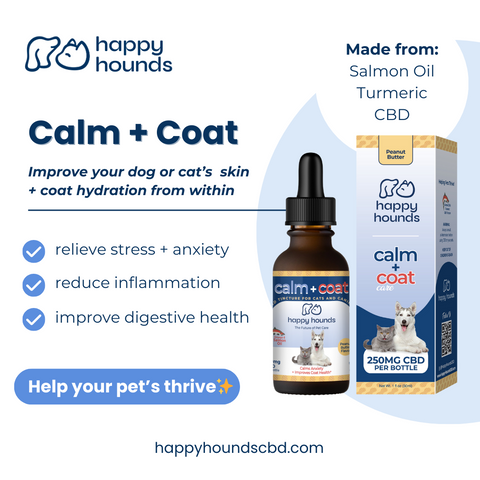 happy-hounds-calm-coat-inflammation-drops-with-salmon-oil-turmeric