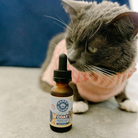 is CBD ok for cats, best cbd oil for cats, happy hounds, cbd for cats