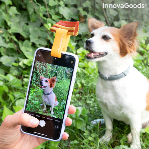 productos-chien-selfie