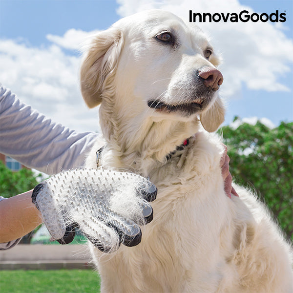 La solución para quitar los pelos de perro de la ropa – InnovaGoods Store
